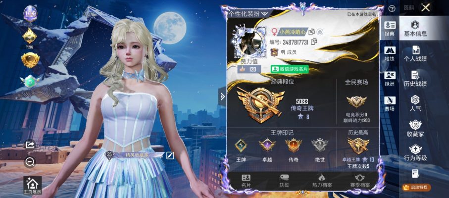 和平精英服务图片1