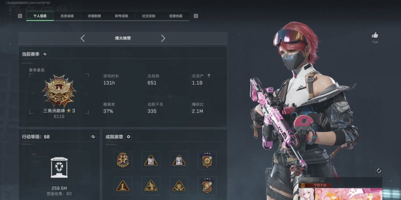 三角洲服务图片1