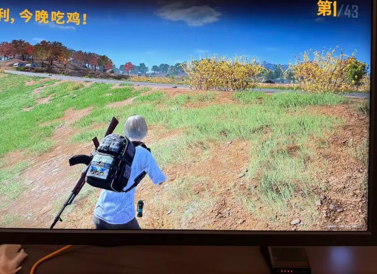 绝地求生服务图片1