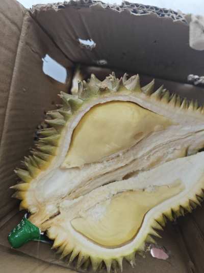 请我吃榴莲服务图片1
