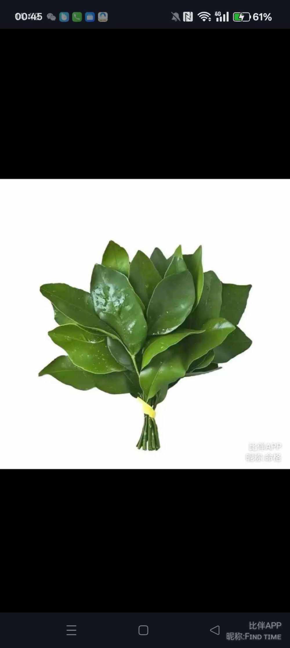 去嗨气图片1