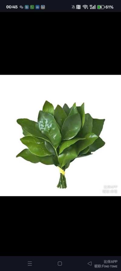 去嗨气服务图片1