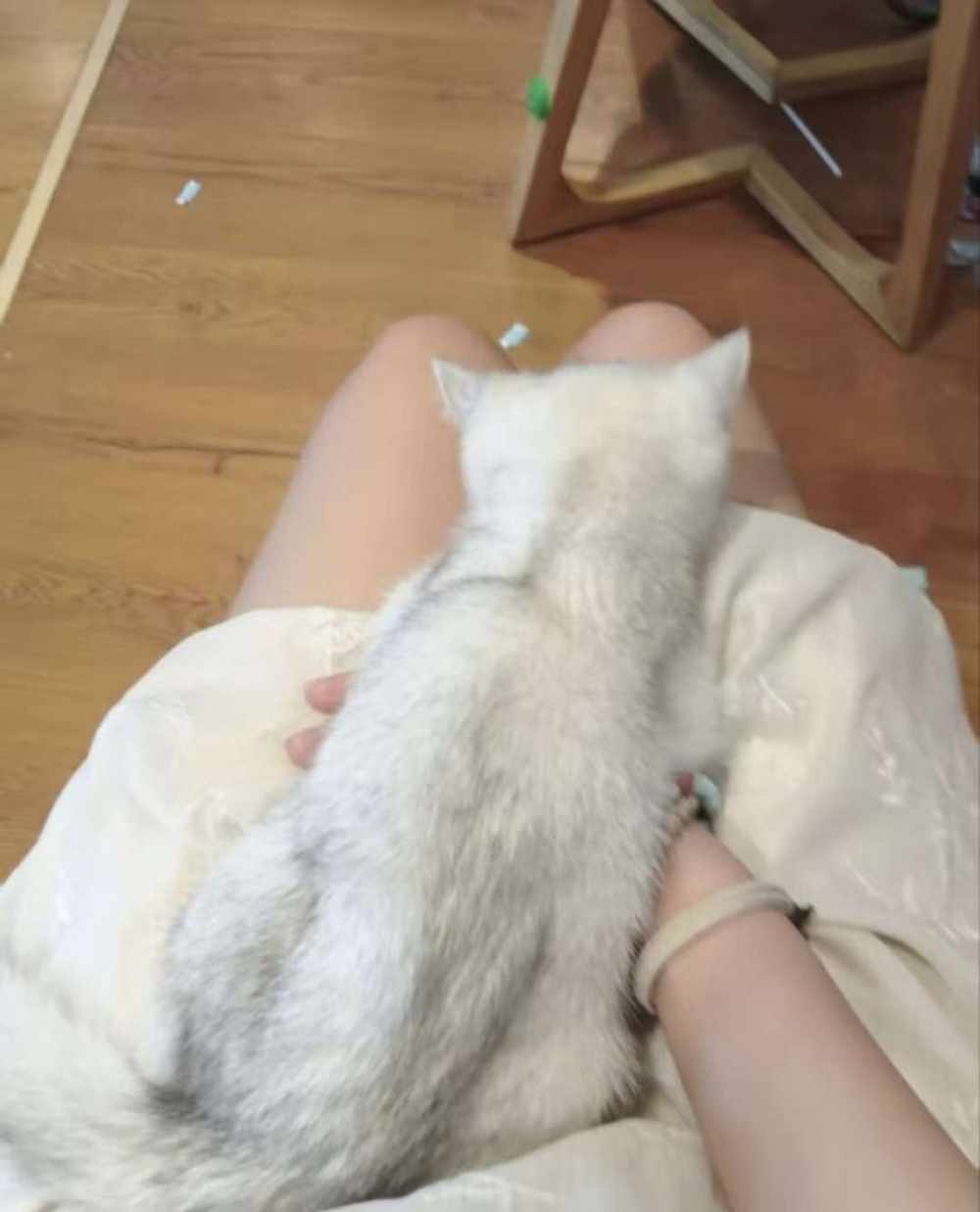 树洞，语聊，文聊图片2