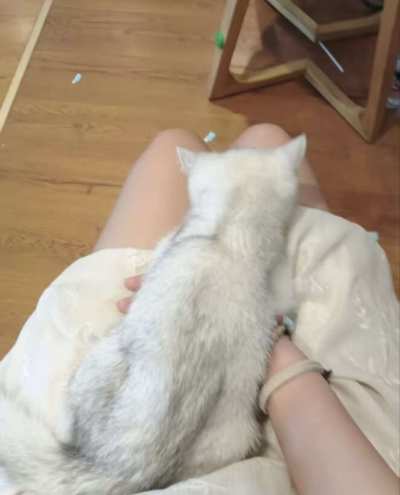 树洞，语聊，文聊服务图片2