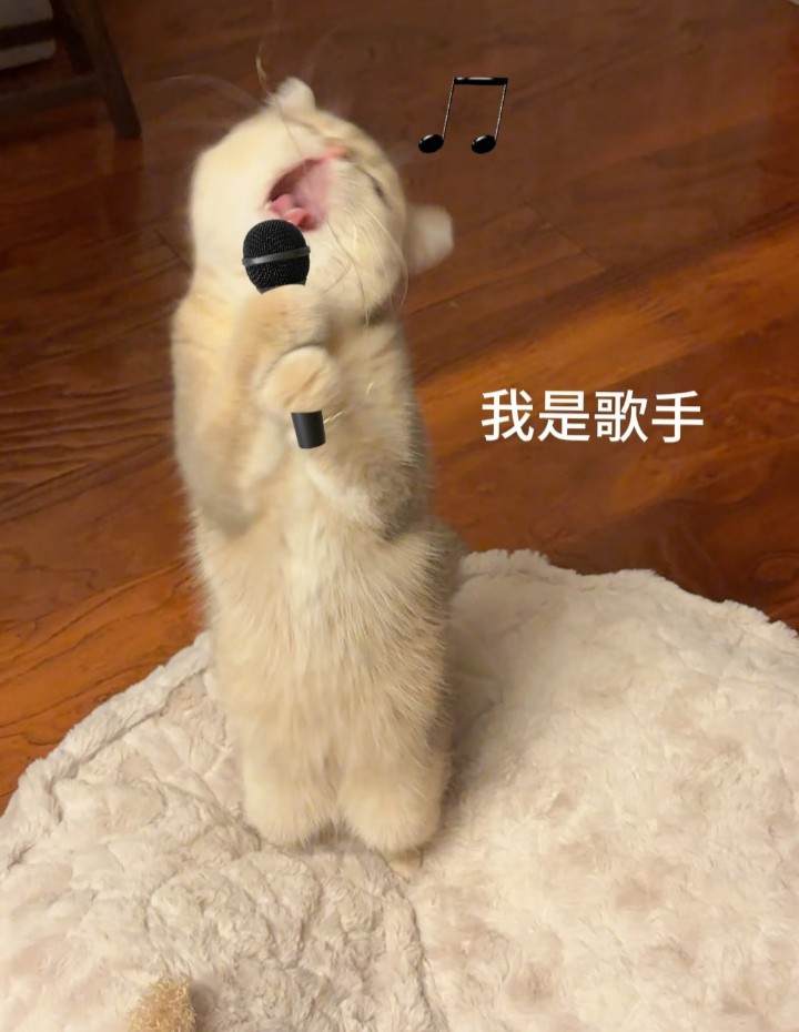 男团点歌图片1