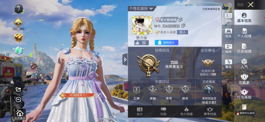 和平精英服务图片1