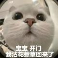 挂情头图片1