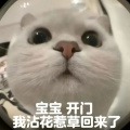 挂情头服务图片1