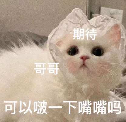 称呼服务图片1