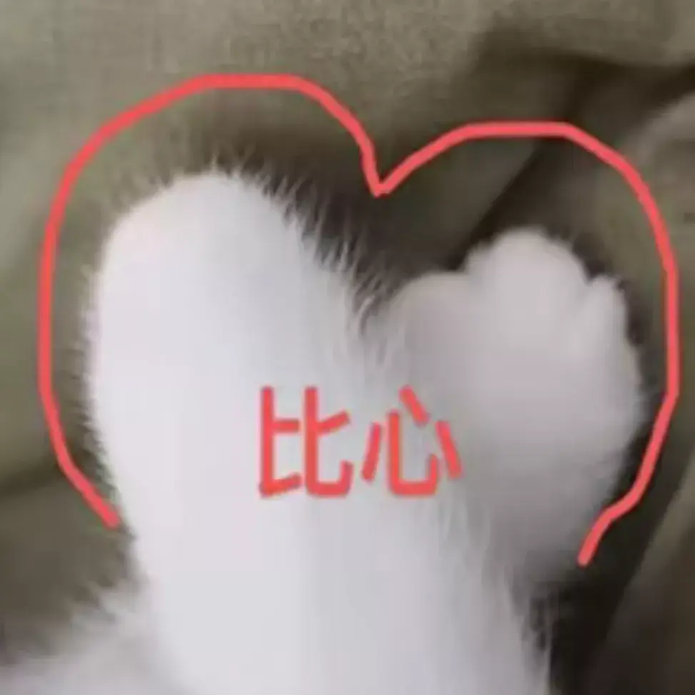 投喂 / 接动态图片1