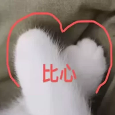 投喂 / 接动态服务图片1