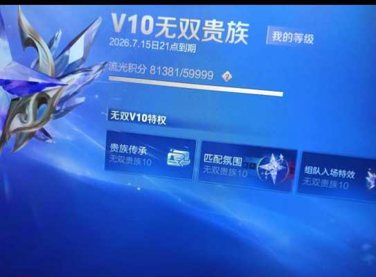 王者荣耀服务图片3