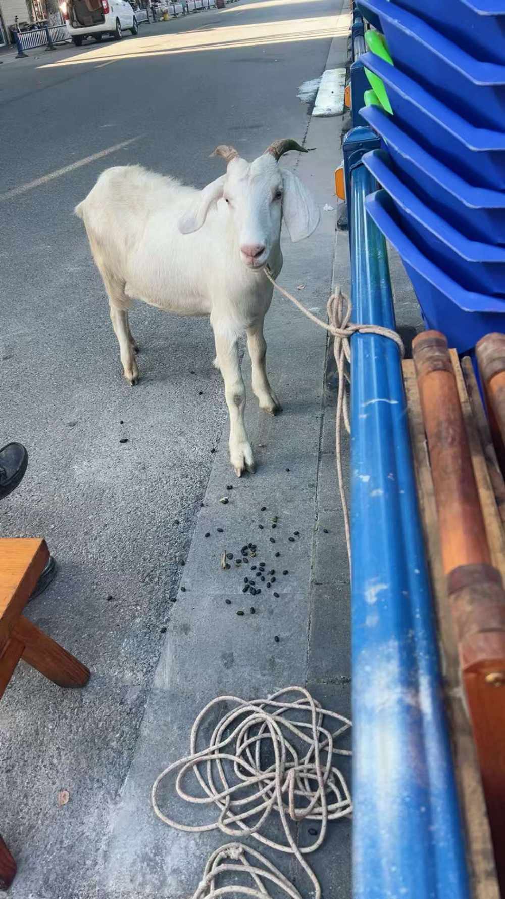陈烦烦发布的第1张图片
