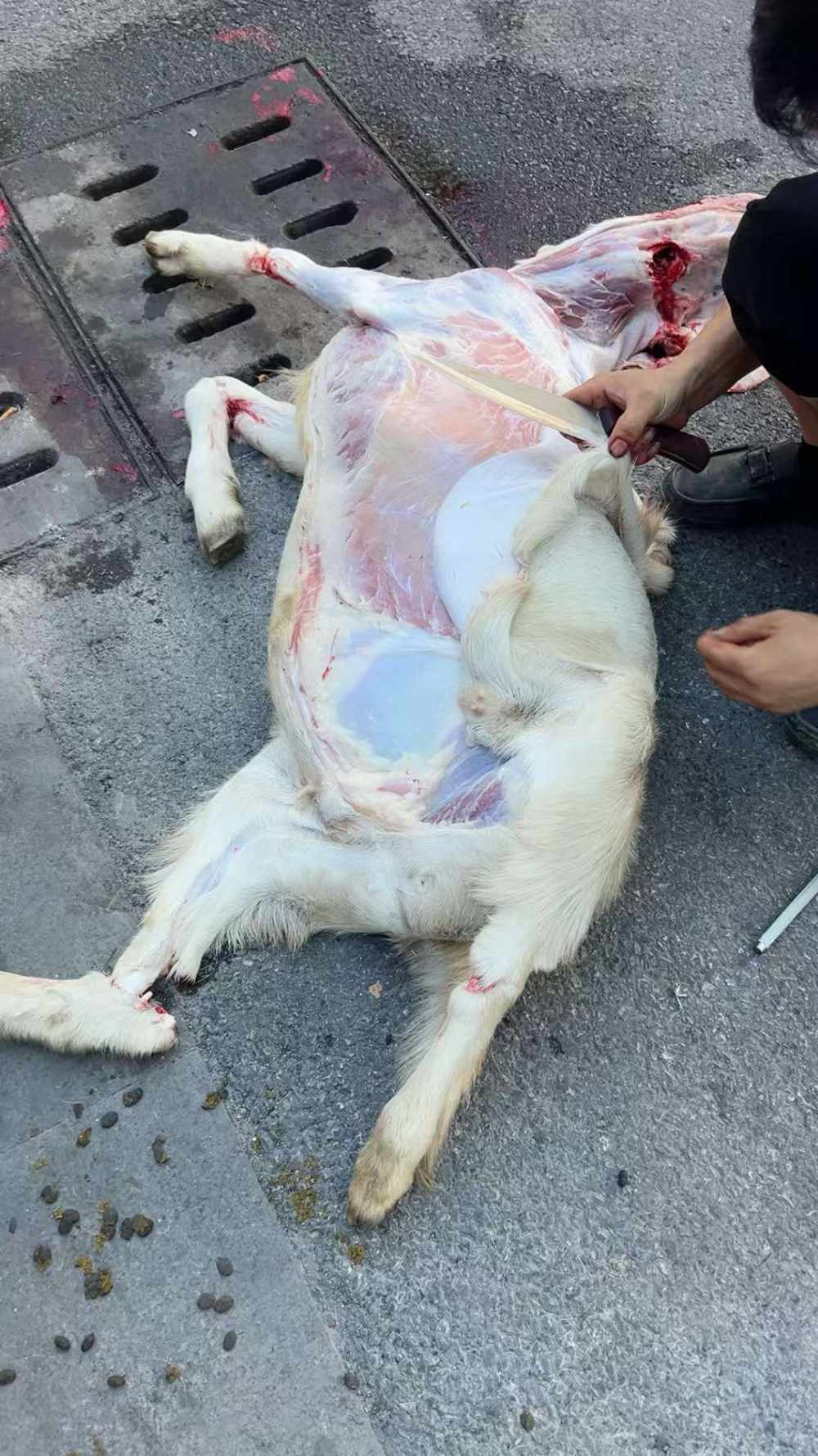 陈烦烦发布的第2张图片