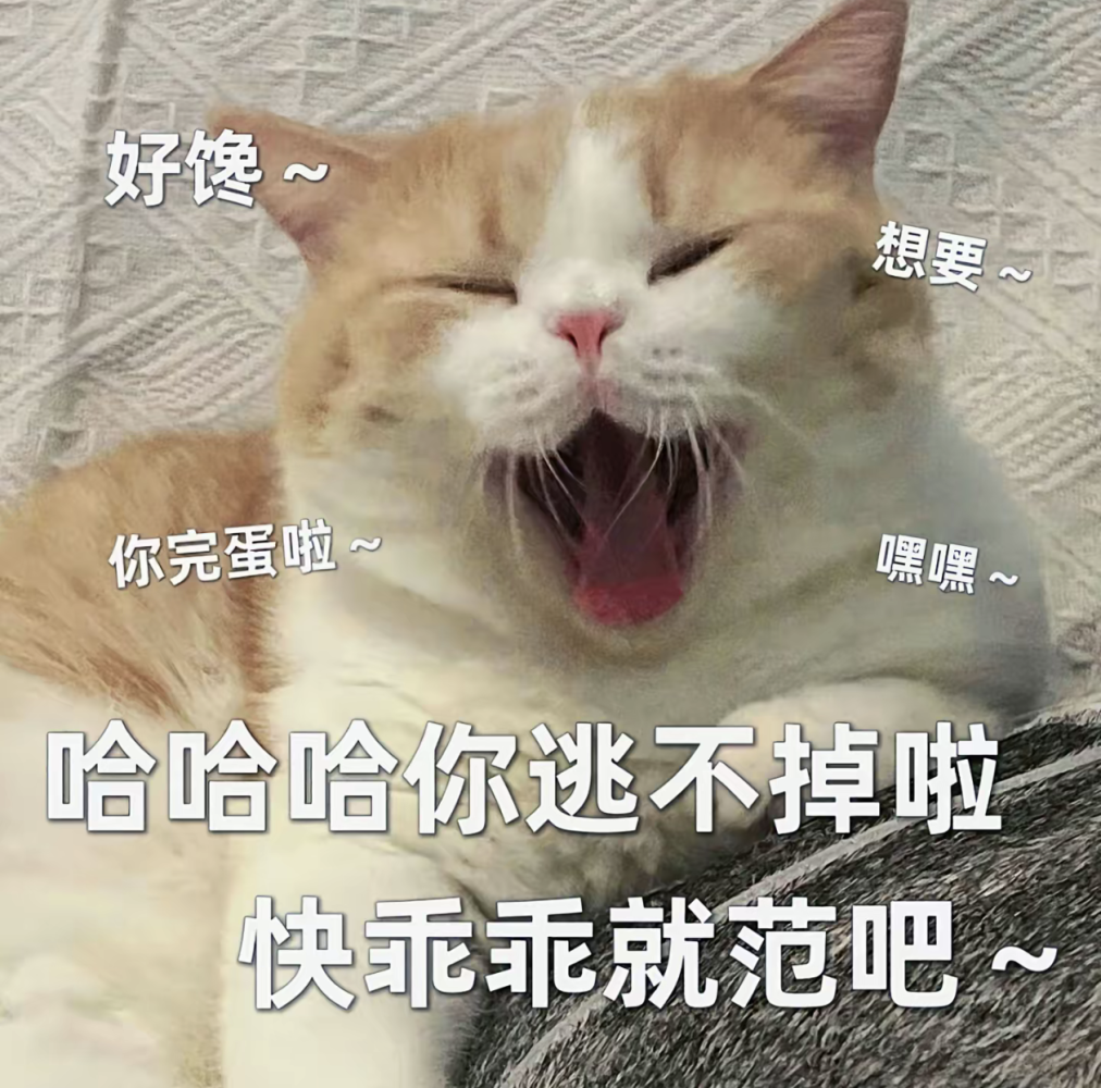 繁月发布的第1张图片