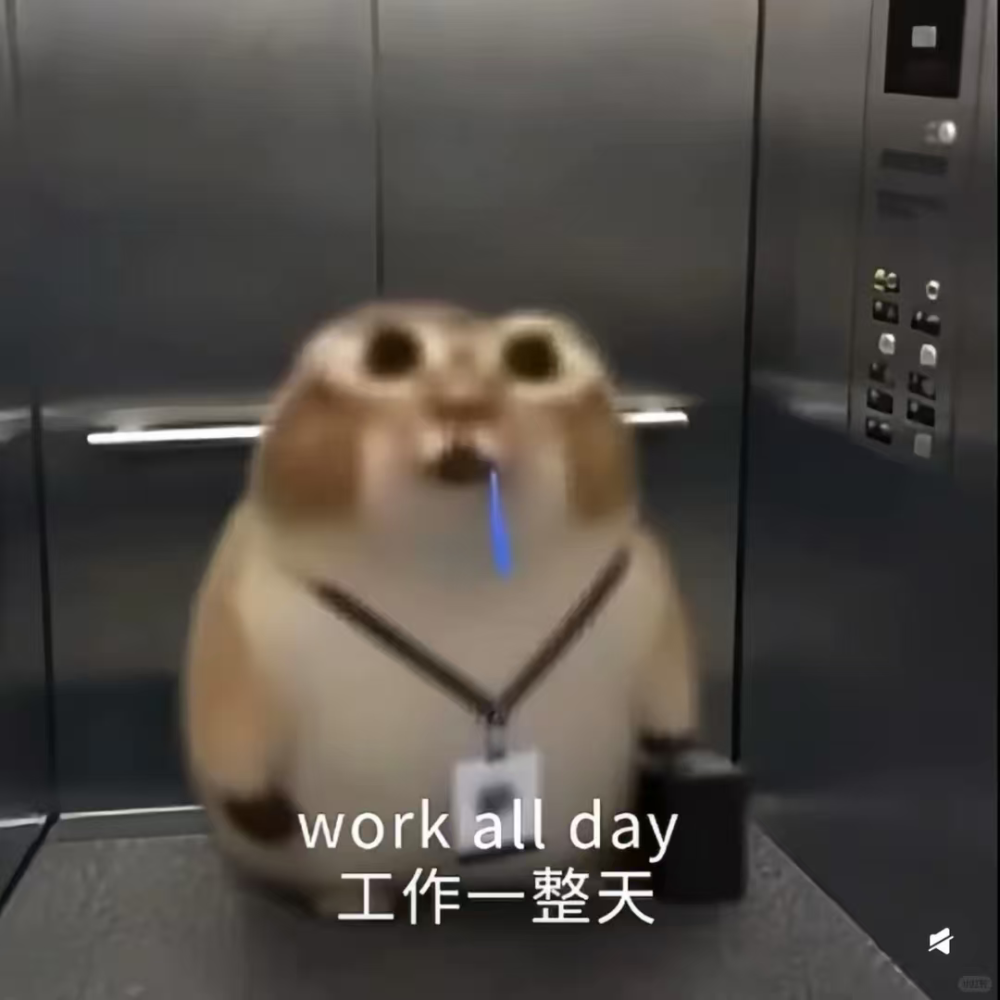 滁煦发布的第1张图片