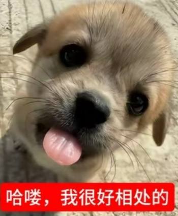 .՞••՞.发布的第1张图片