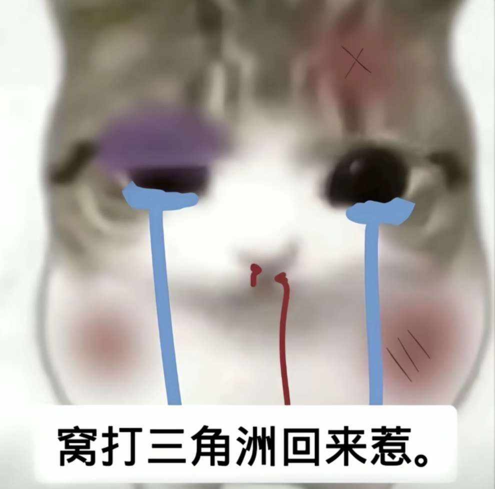 o诗诗o发布的第1张图片