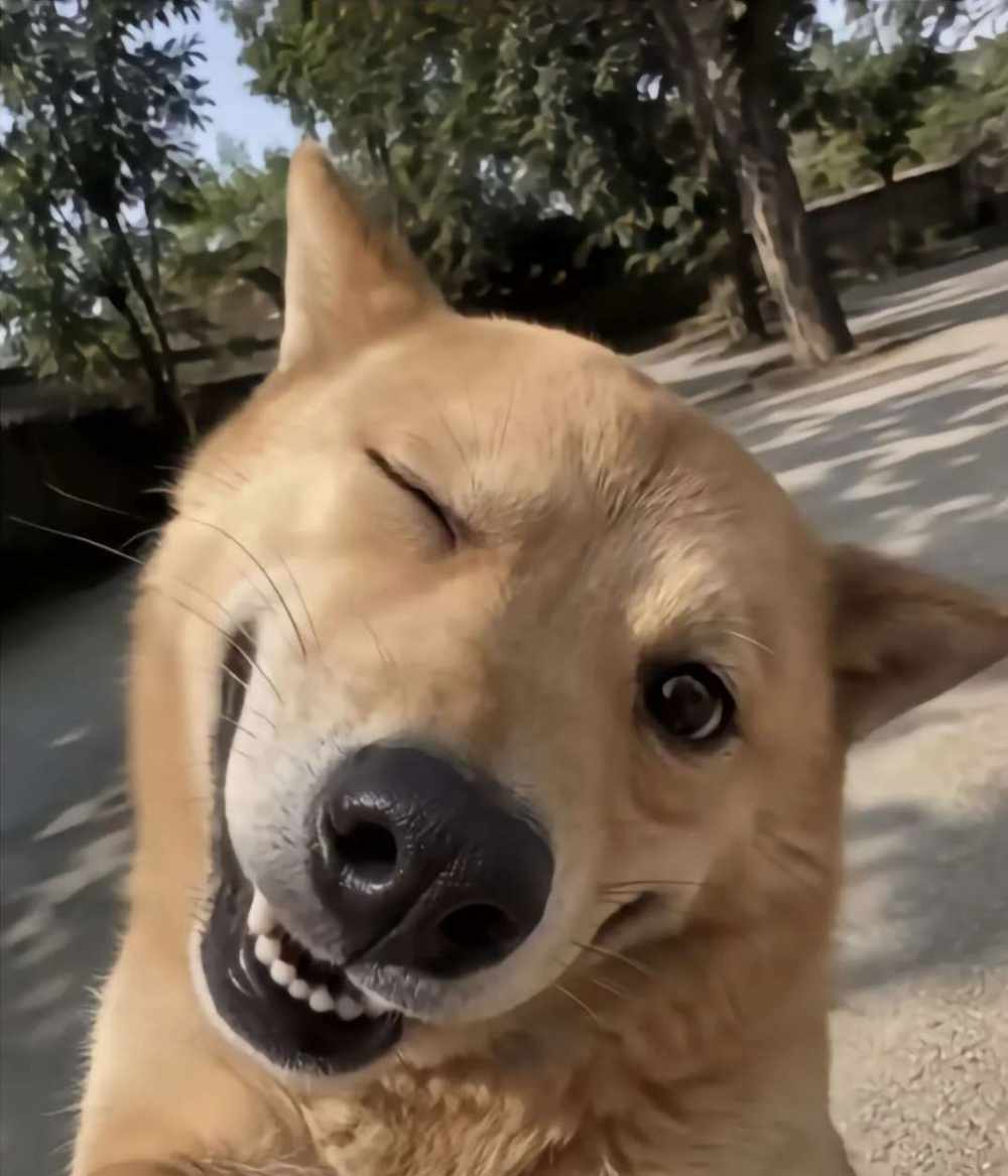 想买点开心发布的第1张图片