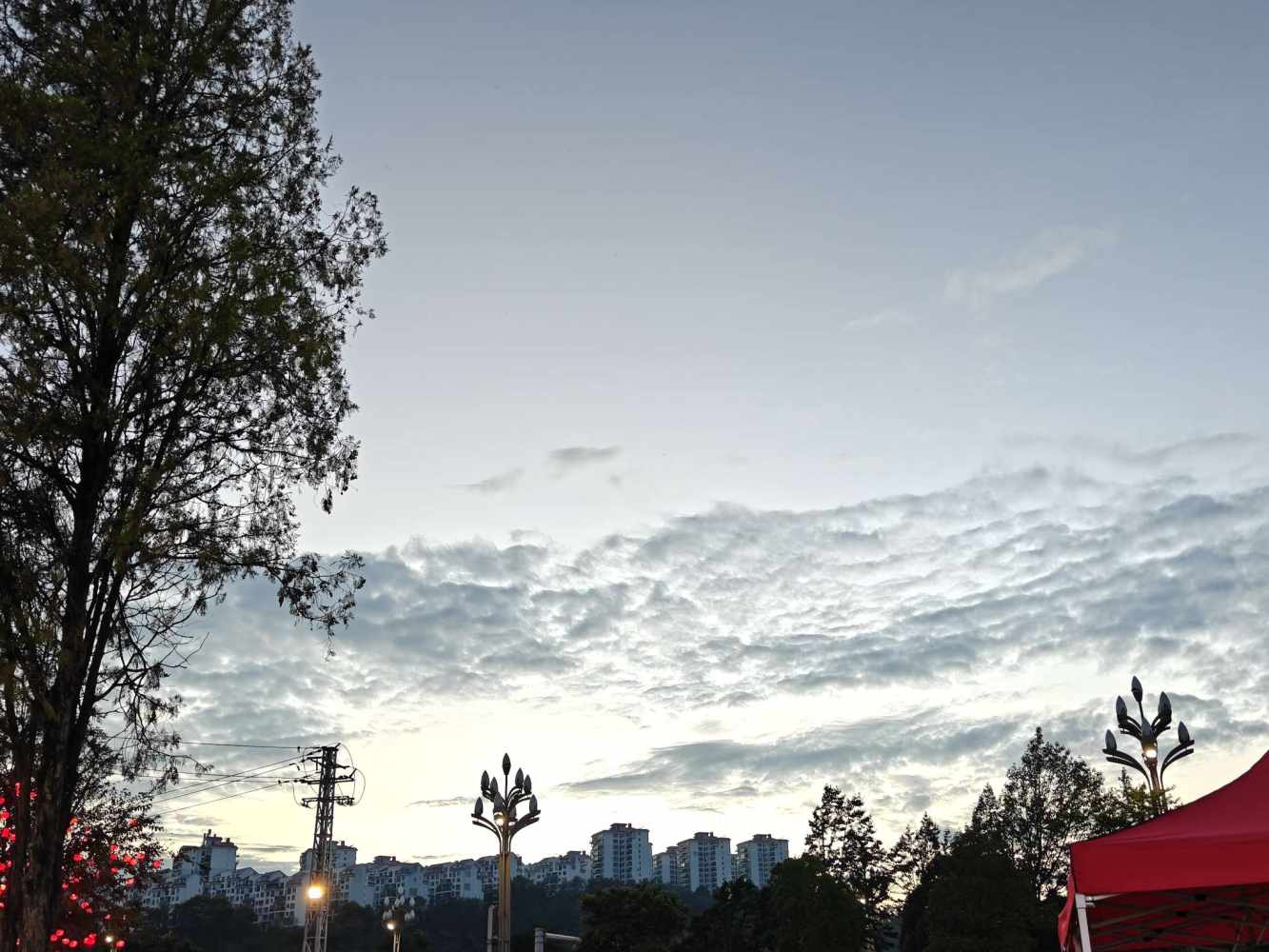 睡不醒的陈（不点单）发布的第3张图片