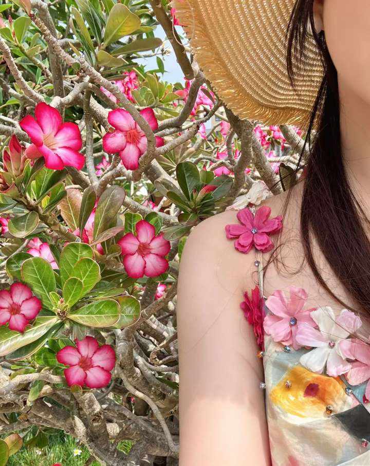 小意大王（绿）发布的第1张图片