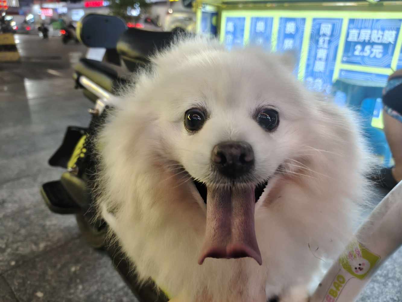 小妍0Ⅴ0发布的第1张图片
