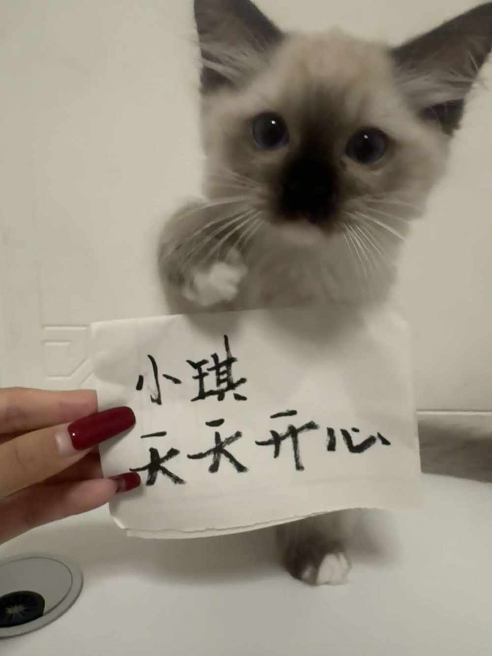 攒钱买小裙子(๑•̀ㅁ•́ฅ)图片1