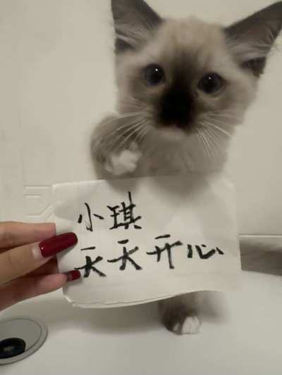 攒钱买小裙子(๑•̀ㅁ•́ฅ)服务图片1