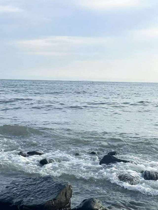 小晓彤.发布的第1张图片