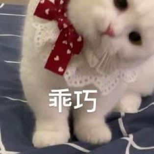 续春漫ღ.发布的第1张图片