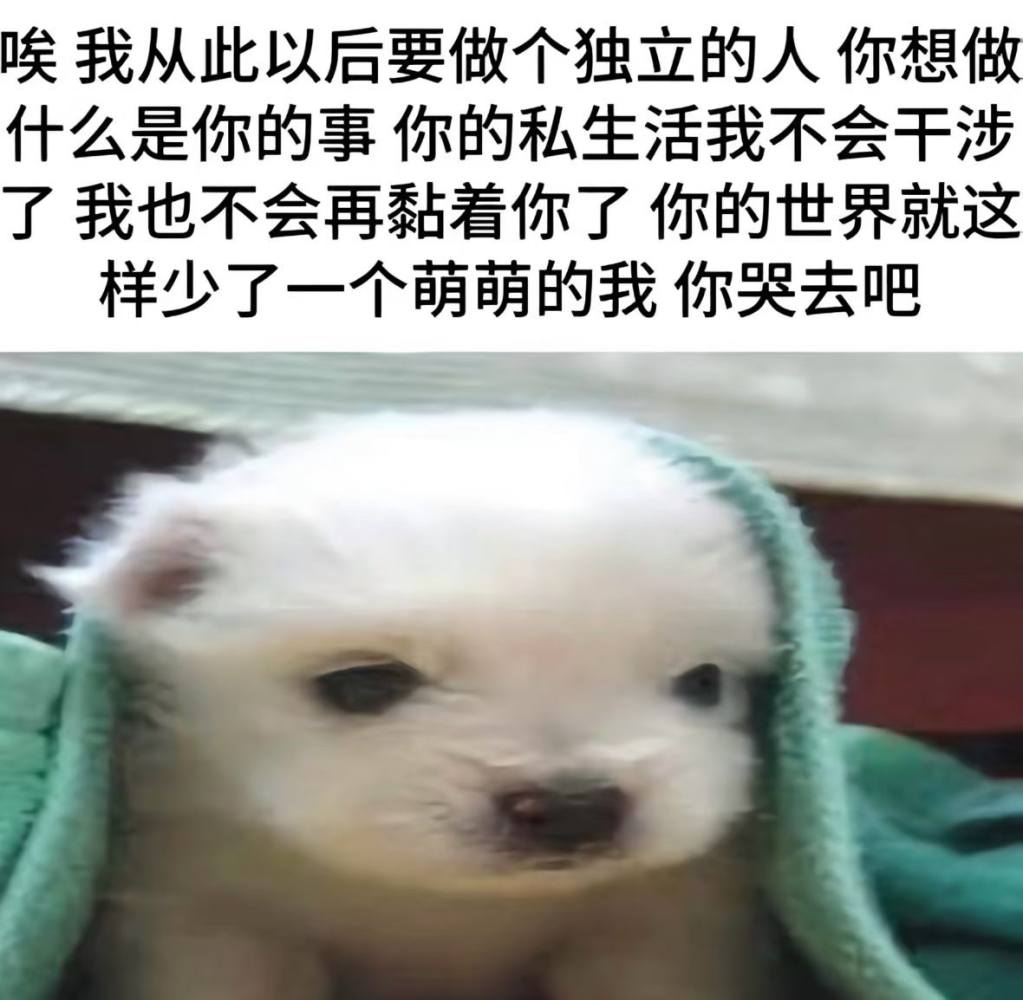 关我西红柿发布的第1张图片