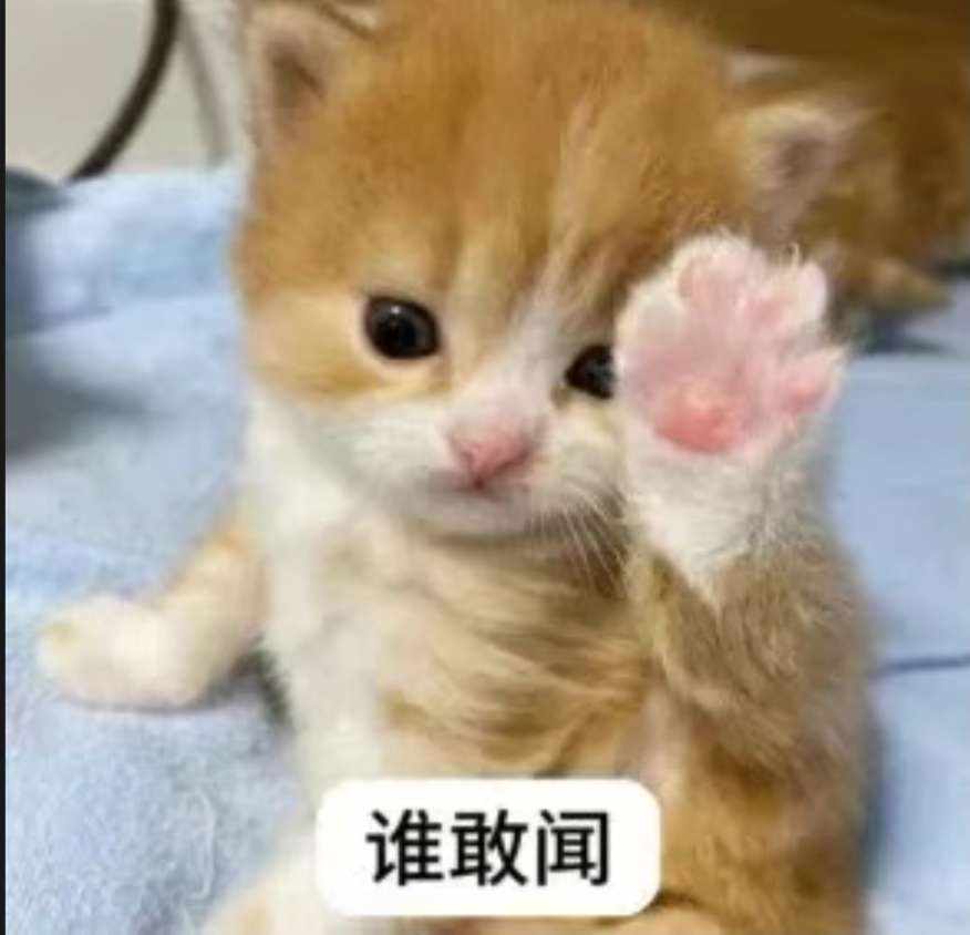 ʚ焖焖鸡ɞ发布的第1张图片
