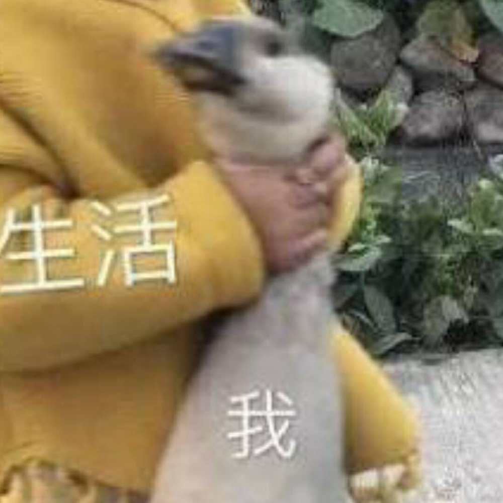 腼腆害羞发布的第1张图片