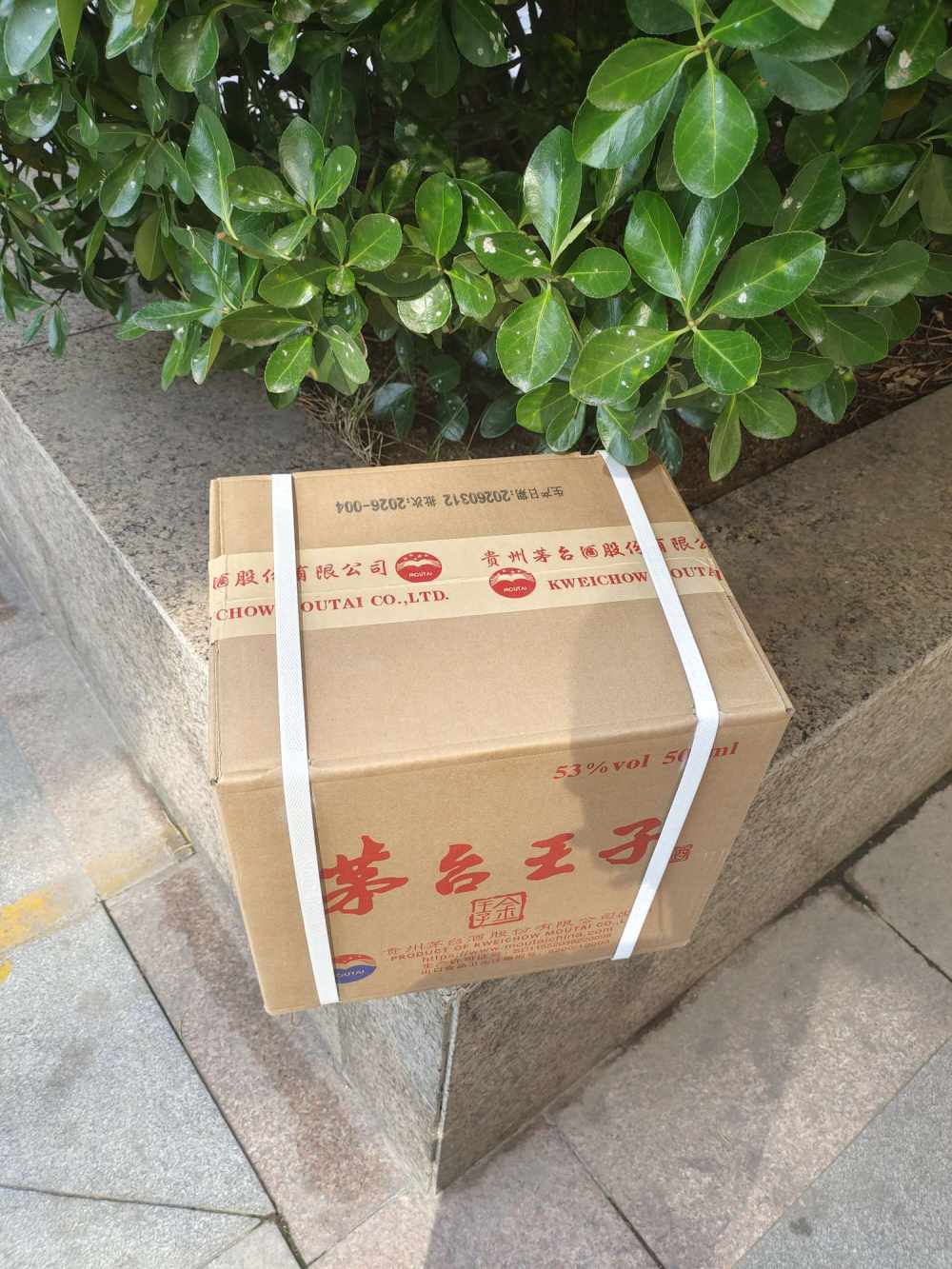死道友不死贫道。发布的第1张图片