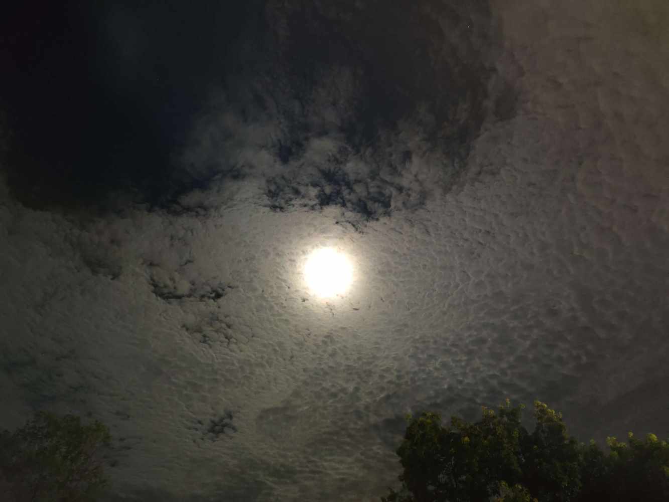 哈基人发布的第1张图片