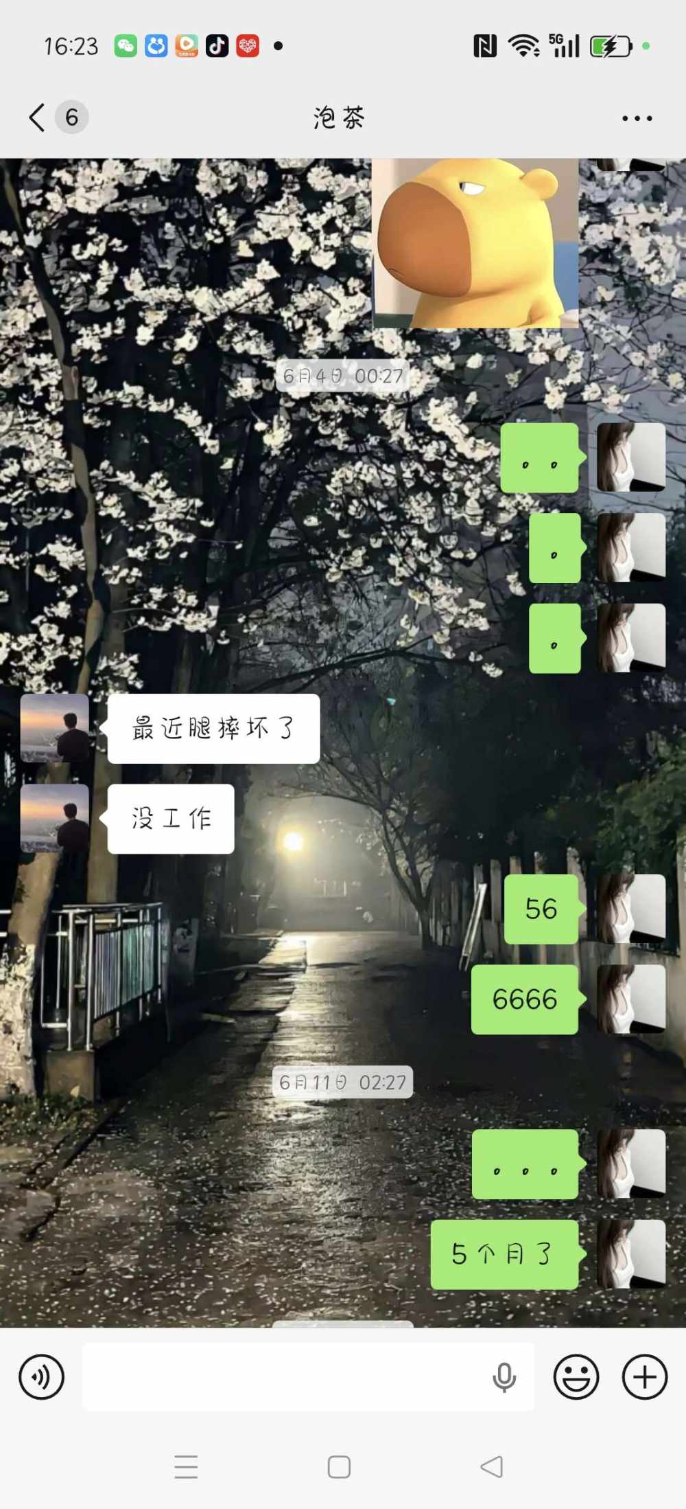 .拾謊.发布的第4张图片