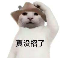 藤上桥间发布的第1张图片