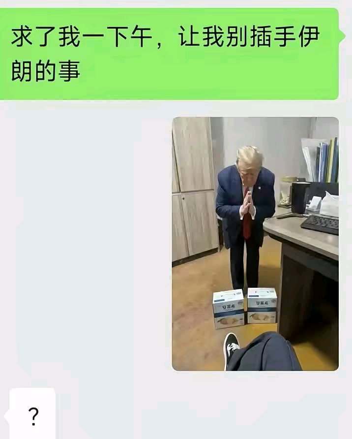 雪落紫禁城.（抽象奶农版）发布的第1张图片
