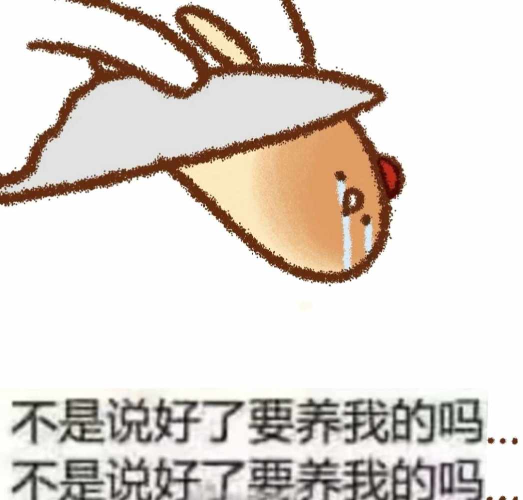 一条小鱼干呀发布的第1张图片