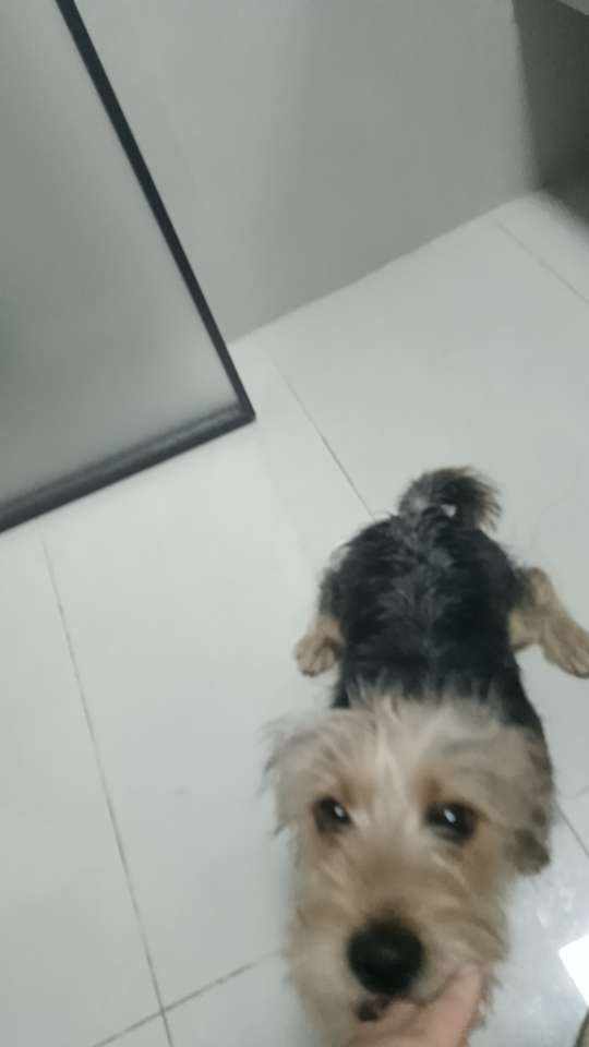 不懂我破碎天真发布的第1张图片