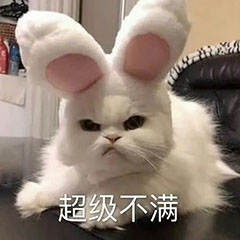 ANGINU发布的第1张图片