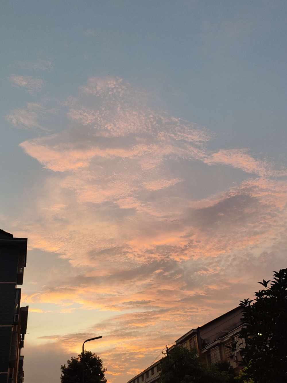 阿 航发布的第1张图片