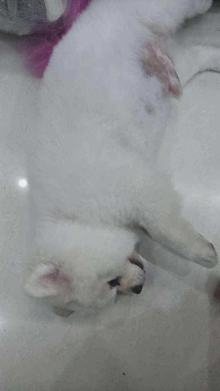 年玥发布的第1张图片