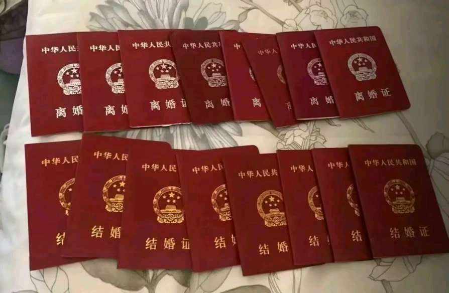 雪落紫禁城.（抽象奶农版）发布的第1张图片