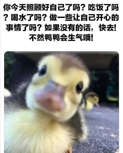 打赏服务图片1