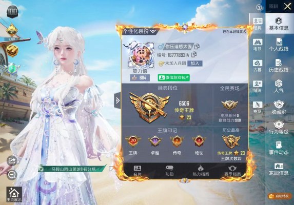 和平精英服务图片1