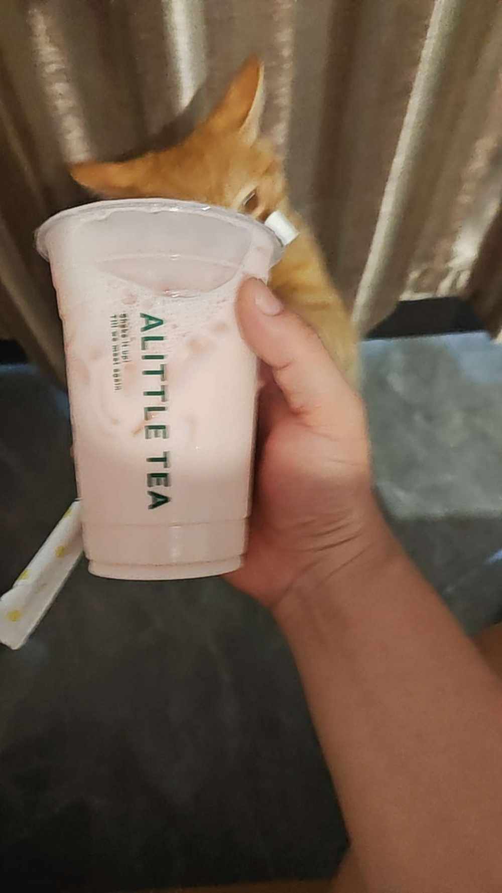 纸上雪发布的第1张图片