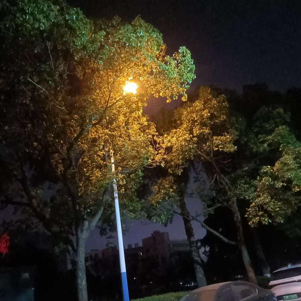 小果果。发布的第1张图片