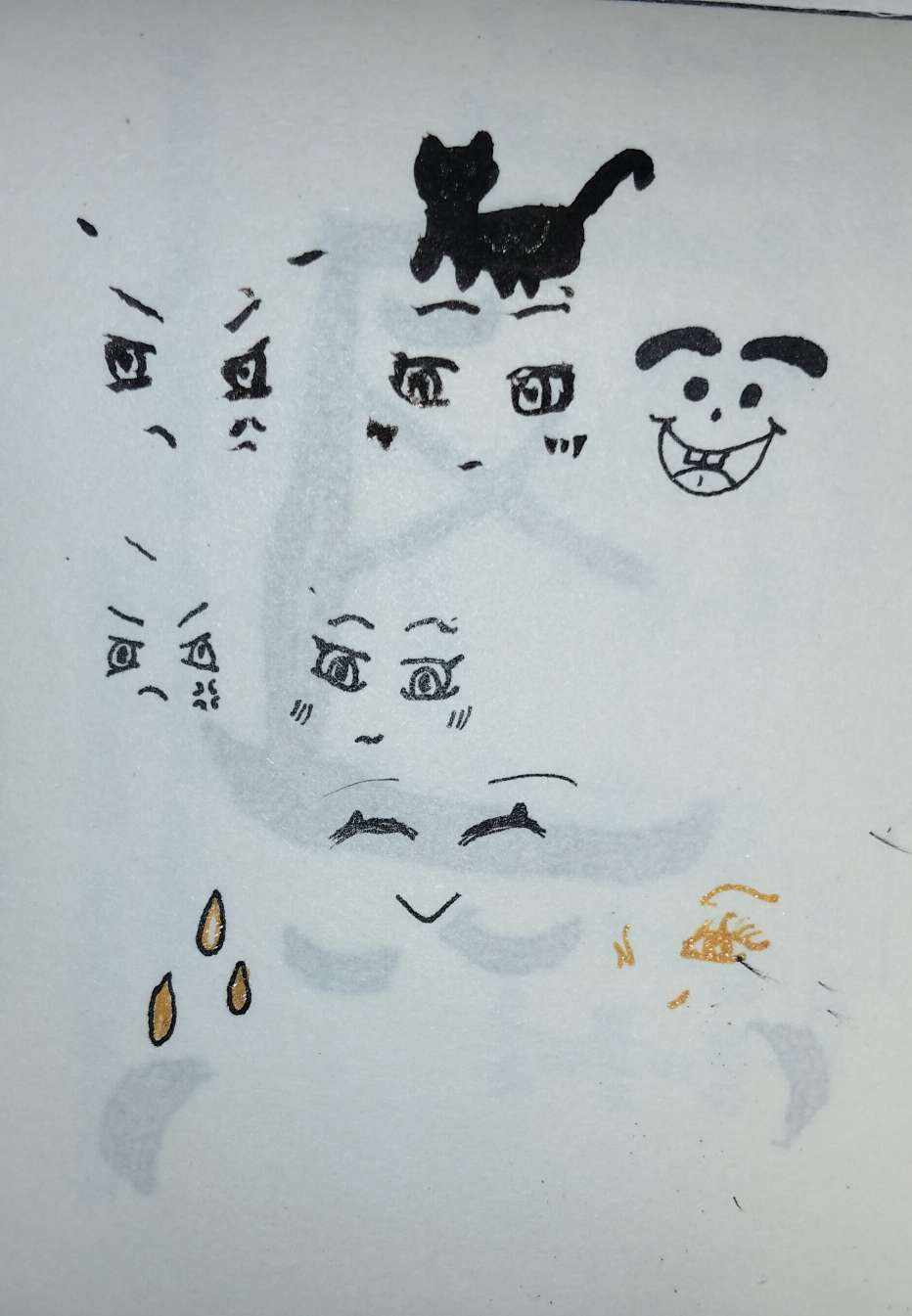 Ŧ发布的第1张图片