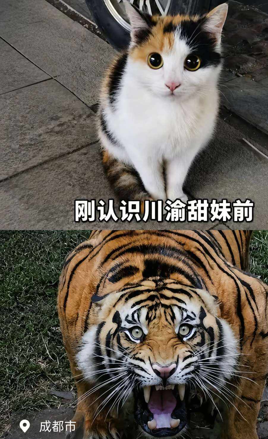 岳阳长风发布的第1张图片